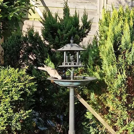 Maison Sainte Cecile Proche Et Commerces Holiday home